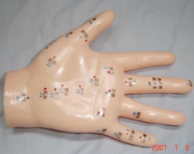 人体针灸模型|人体针灸模型（手针穴位模型7.5～14CM）