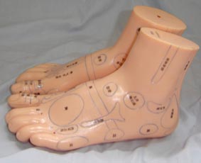 针灸教学模型|足部保健反射区模型（按摩足模型20CM）