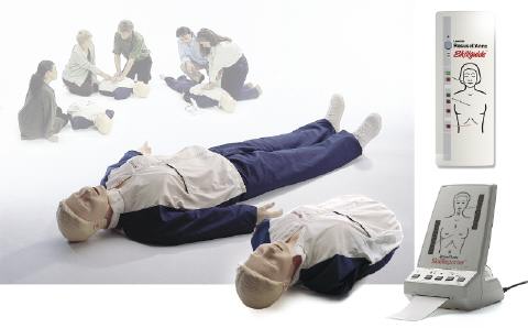 进口触电急救模型｜基础型复苏安妮模拟人