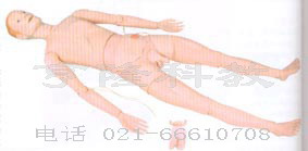 护理模型|高级组合式基础护理人训练模型