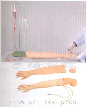 护理模型|多功能静脉穿刺输液手臂模型