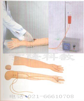 护理模型|高级手臂静脉穿刺训练示教模型（电子血液循环装置）