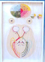 电动教学模型｜视觉传导瞳孔对光反射电动模型