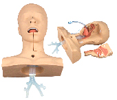 护理模型|高级吸痰练习模型