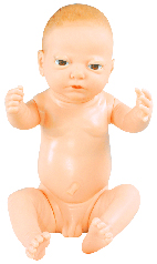 妇婴模型|护理技能训练模型|高级出生婴儿模型