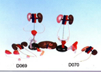 计生训练模型|男性泌尿生殖系统解剖模型