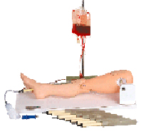 临床技能模型|骨穿刺及股静脉模型