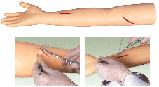 临床技能模型|高级外科缝合手臂模型