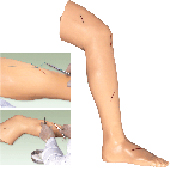 临床技能模型|高级外科缝合腿肢模型