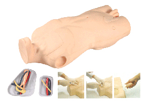 临床技能培训模型|中心静脉穿刺注射躯干模型