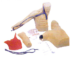 临床技能模型|外周穿刺、中心静脉穿刺插管模型