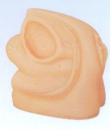 高级女性内外生殖器模型