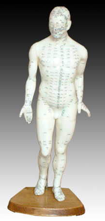 人体针灸模型46CM