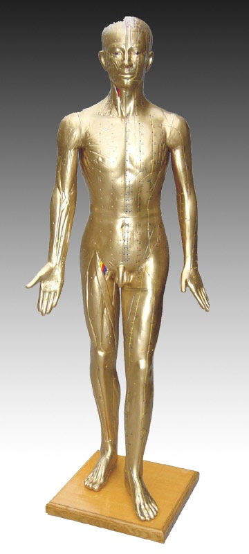 人体针灸模型178CM(青铜色）