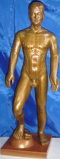 中医人体针灸模型|运动式古铜色人体针灸模型（85CM）