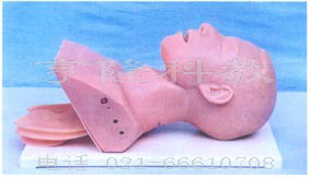 气管插管模型｜BAQ-1电子人体气管插管训练模型（带报警）