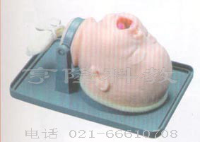 气管插管训练模型｜新生儿气管插管模型