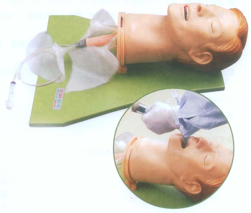 高级多功能气道管理模型|多功能气道管理模型