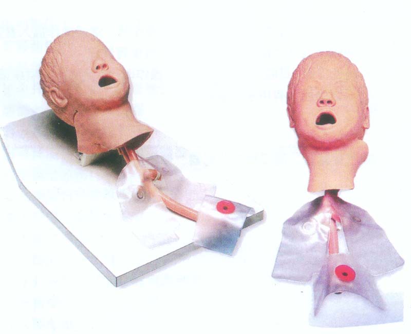 高级儿童气管插管模型|儿童气管插管模型