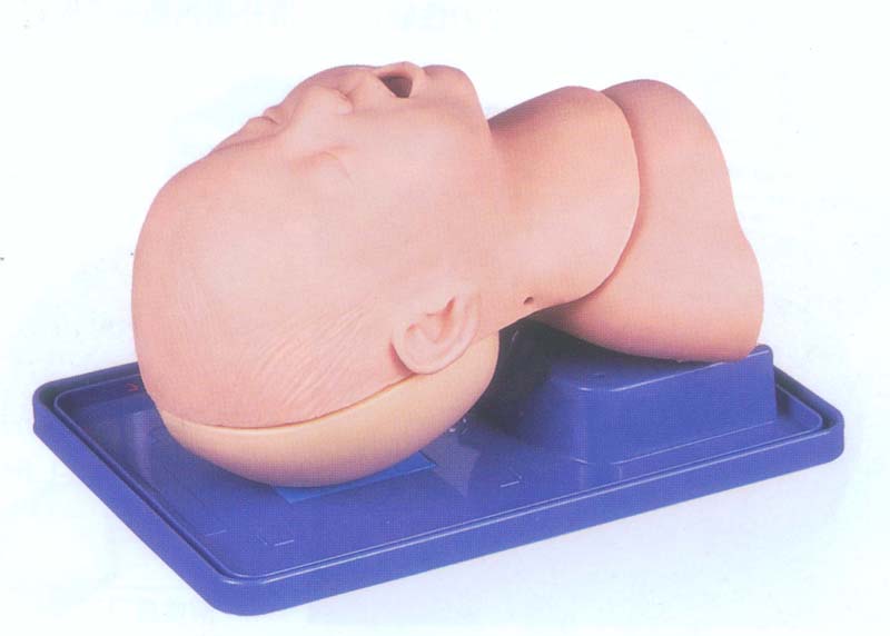 国产婴儿气管插管模型|婴儿气管插管模型