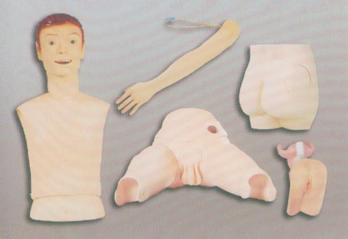 高级基础护理实习操作模型