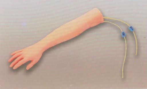 高级静脉穿刺手臂训练模型