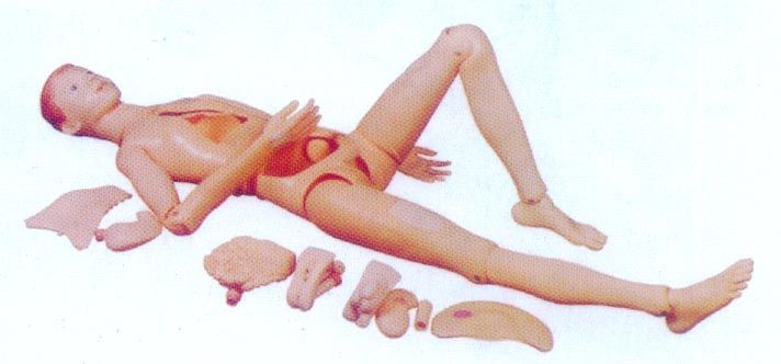 高级组合式基础护理人训练模型