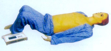 型数字式电脑腹部触诊模拟人