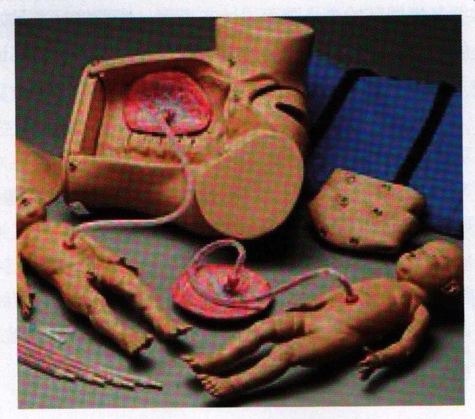 高级分娩机制示教系列模型