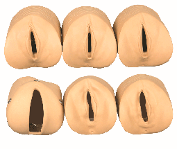 妇产模型|产前宫颈变化与产道关系模型