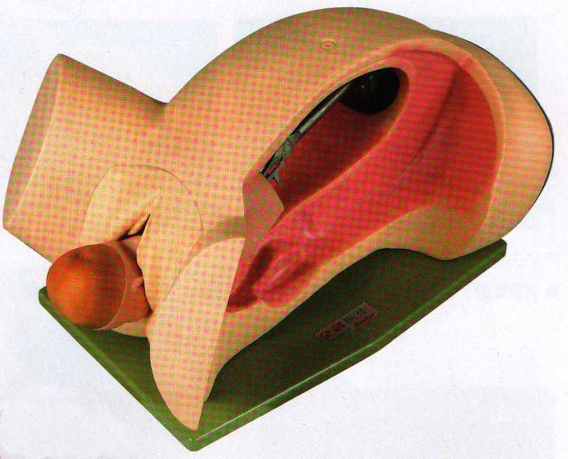 妇婴专科技能训练模型|分娩机转示教模型