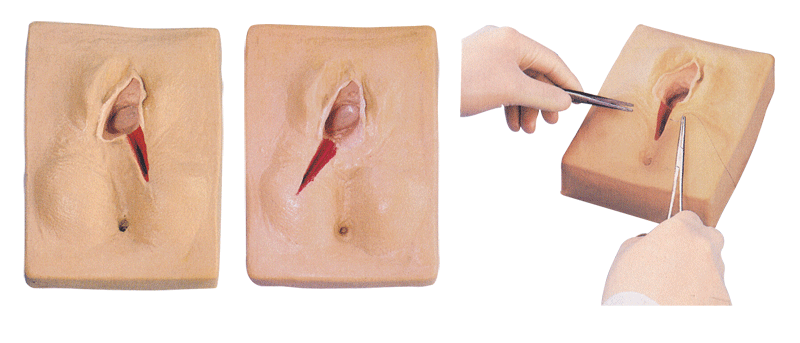 妇科模型|外阴缝合练习模型