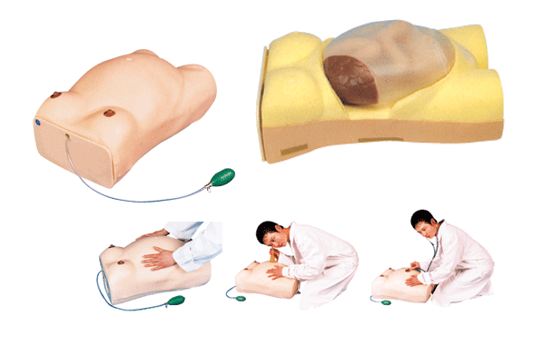 妇幼模型|高级电脑孕妇检查模型