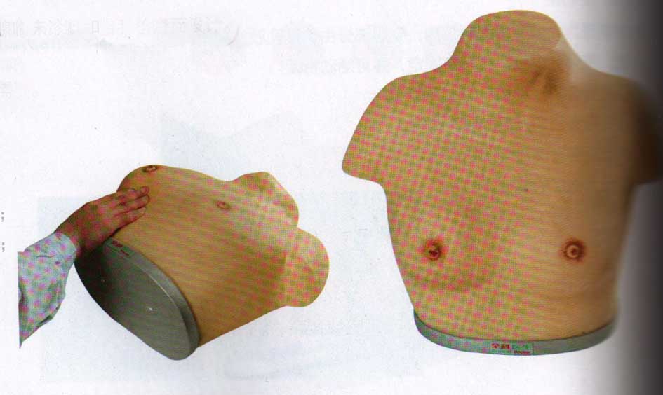 妇幼模型|高级乳腺视诊与触诊模型