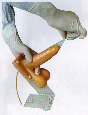 妇幼模型|护理技能训练模型|男性避孕套练习模型