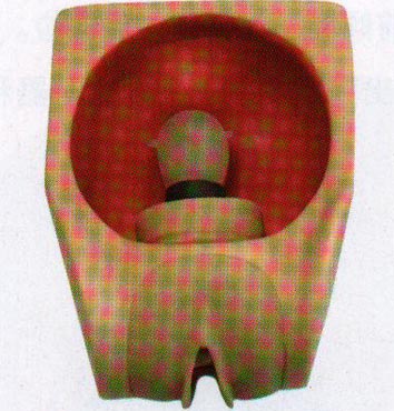 高级女性避孕练习模型