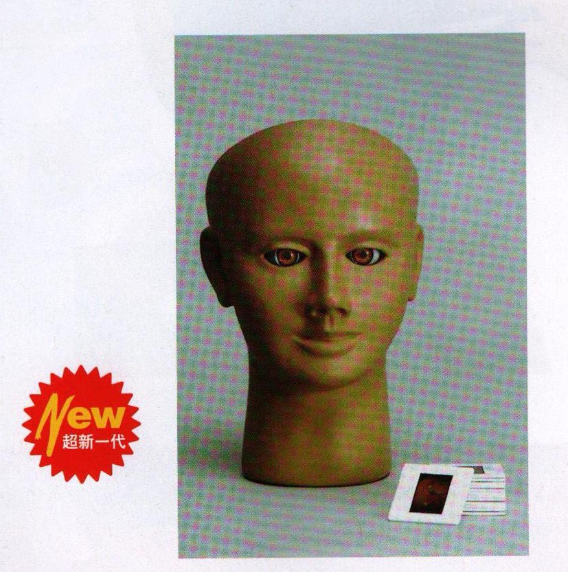 高级眼内视网膜病变检查模型