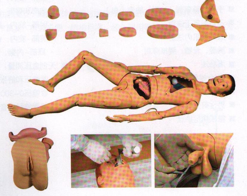 高级组合式基础护理人