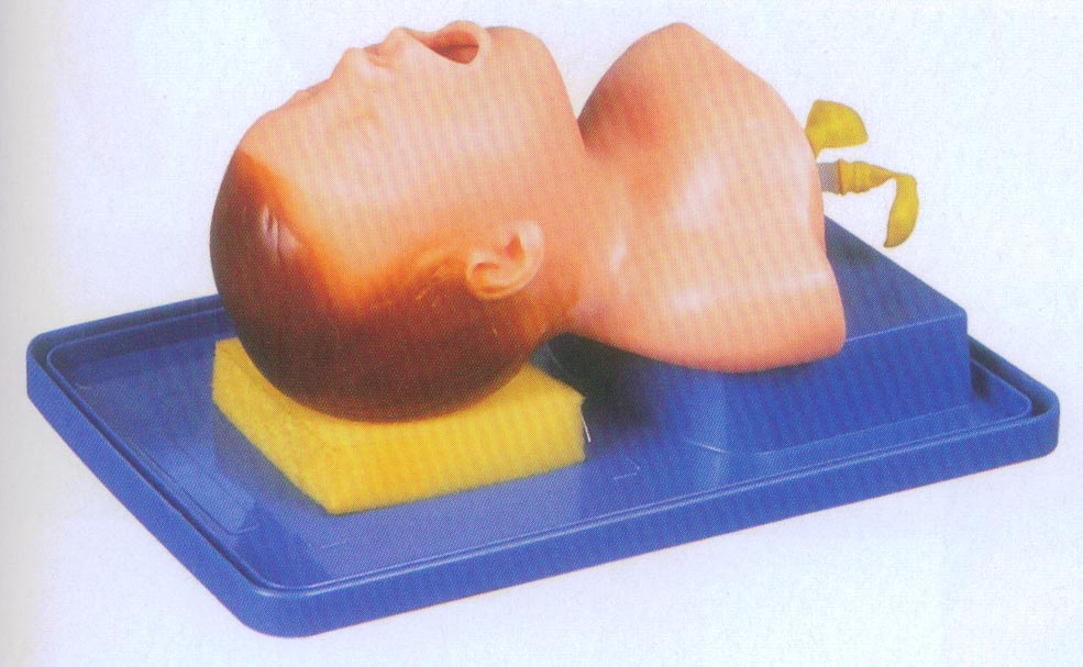 高级婴儿气道插管模型