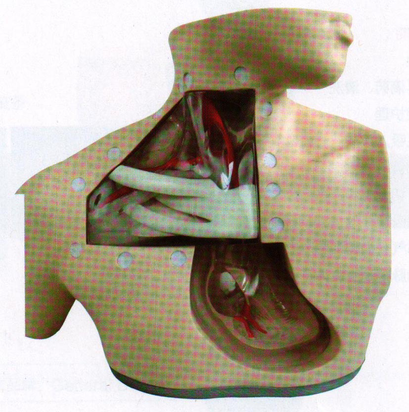 高级肠外营养护理模型