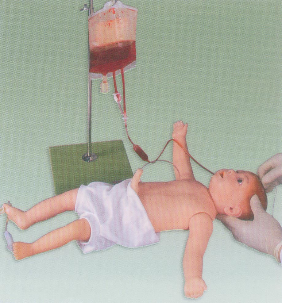 高级婴儿全身静脉穿刺模型