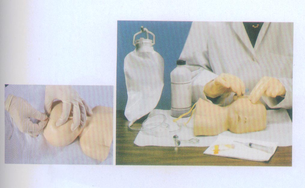 高级婴儿头皮静脉穿刺训练模型