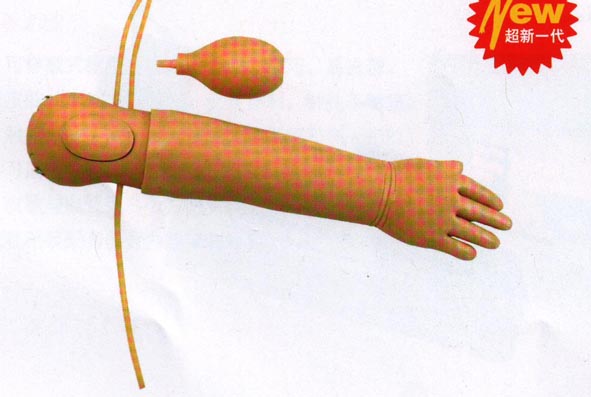 高级婴儿动脉注射模型