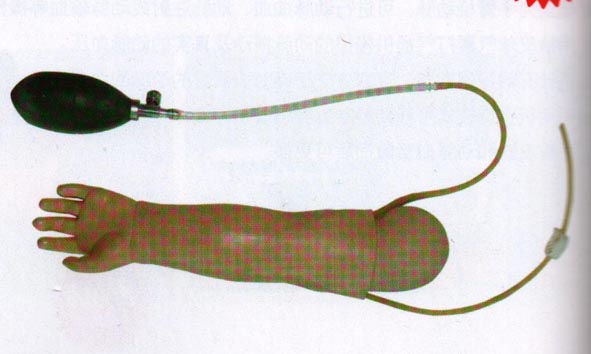 高级婴儿动脉穿刺训练手臂