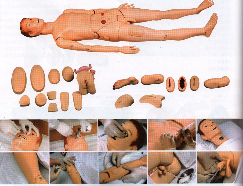 高级全功能护理训练模拟人(男性)