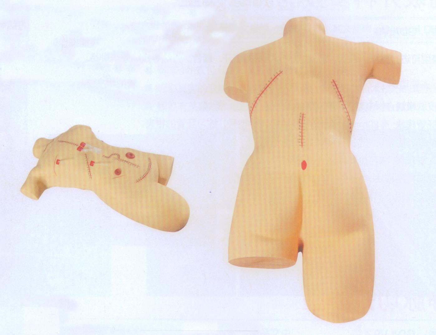 外科缝合包扎展示模型