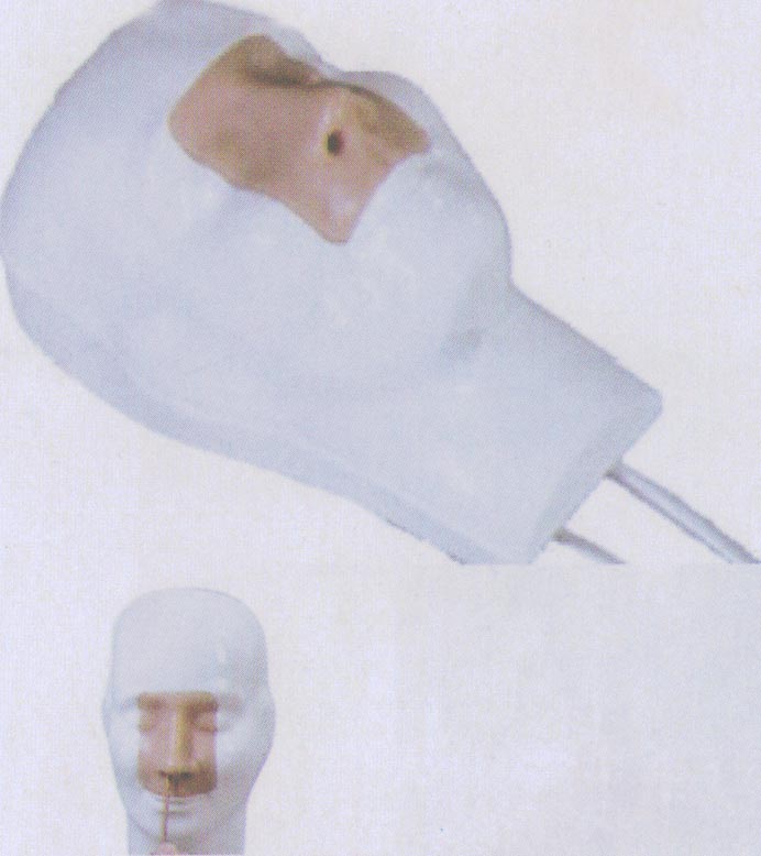 高级鼻腔出血模型