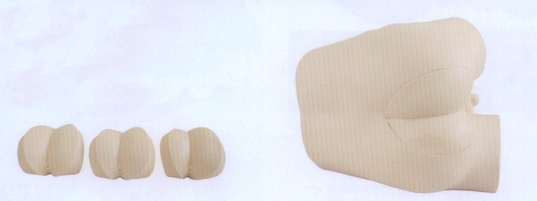 高级直肠指诊检查模型