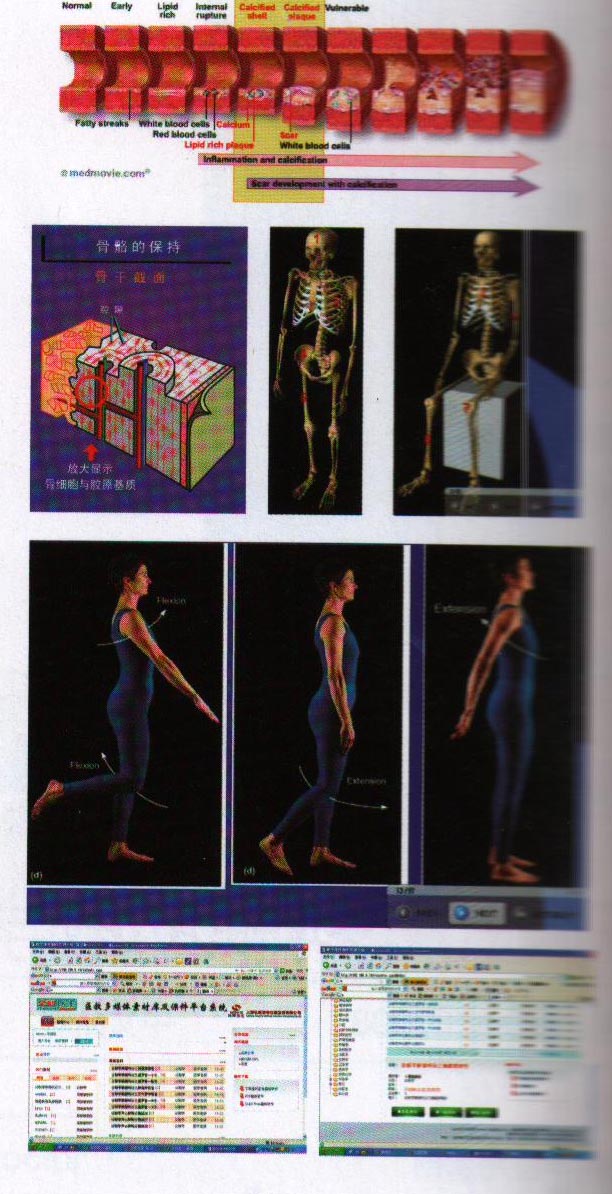 医教多媒体素材库及课件平台系统