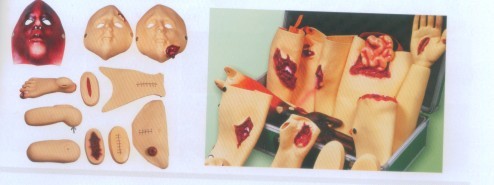 创伤护理评估模块